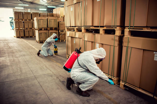 Wildlife Control Services in Ironwood, MI