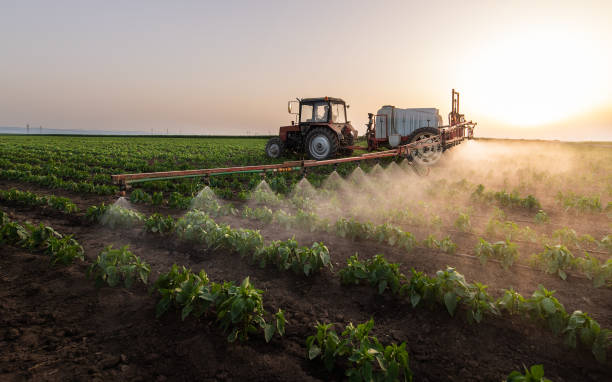 Best Mosquito Control Services  in Ironwood, MI