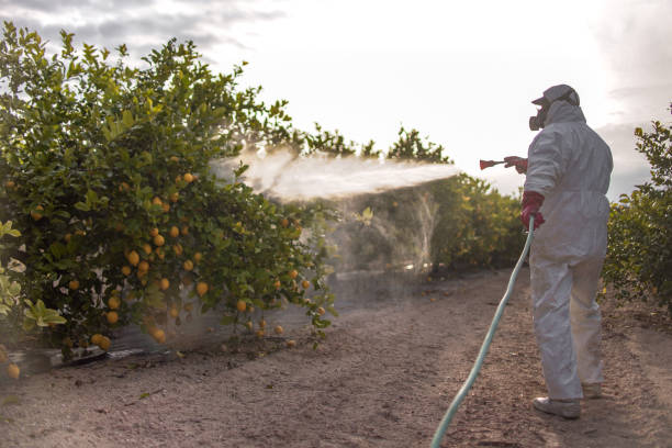 Best Exterminator Services  in Ironwood, MI
