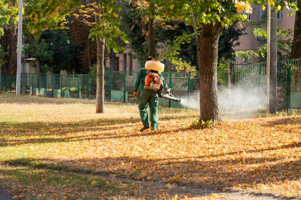 Best Affordable Pest Control Services  in Ironwood, MI