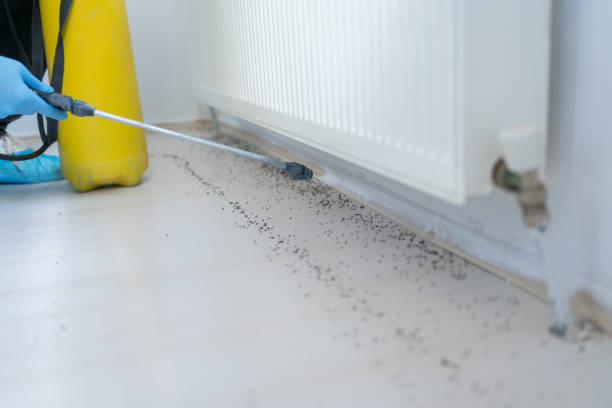 Best Local Pest Control Services  in Ironwood, MI
